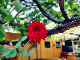 Фото